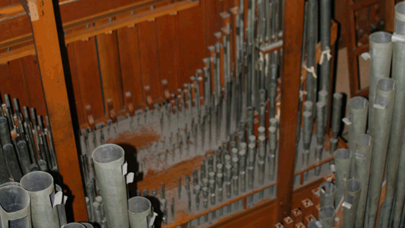 Organ Pipes